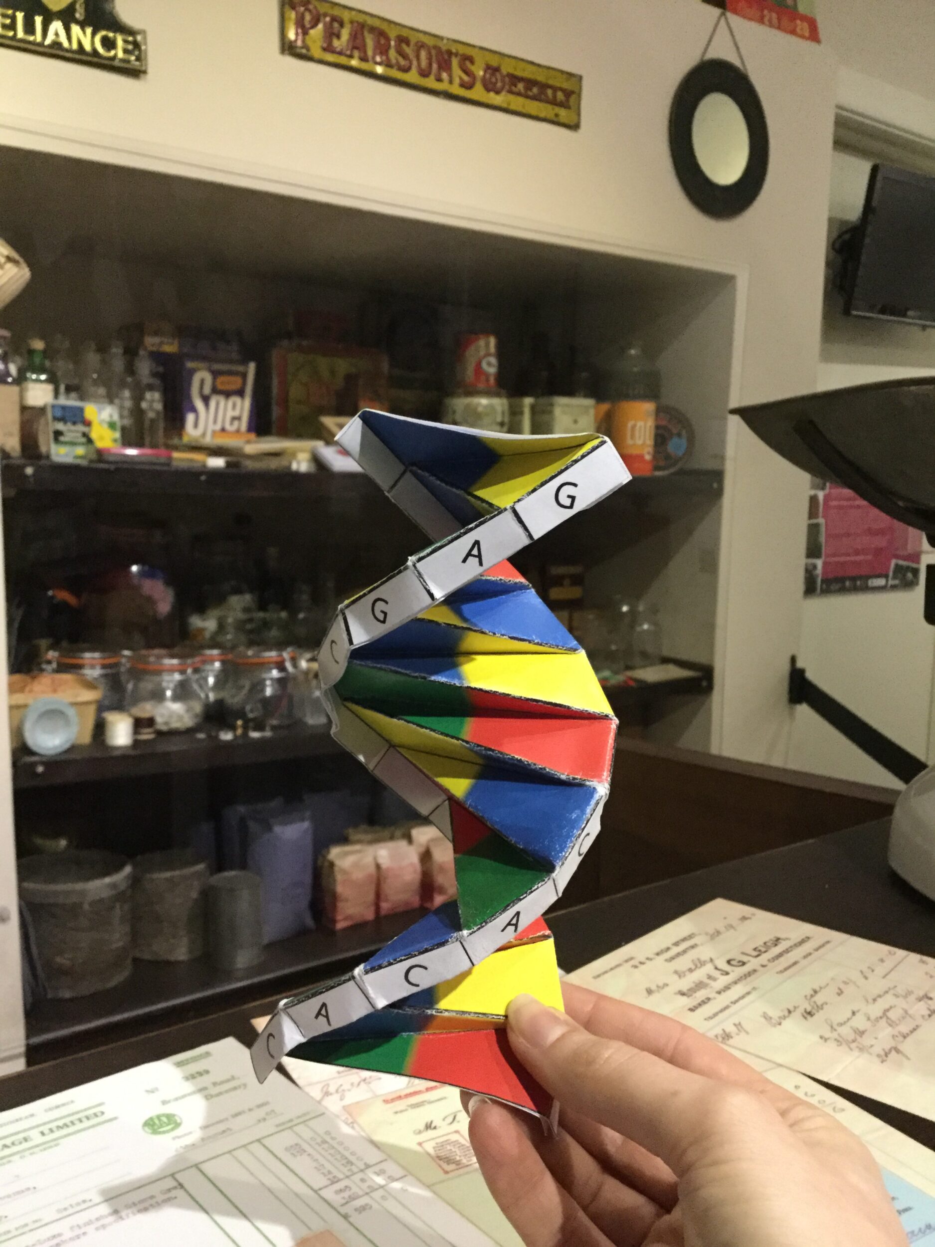 british-science-week-event-daventry-museum